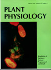 1999 Plant Physiology Journal Cover