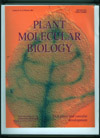 2003 Plant Mol Biology Journal Cover