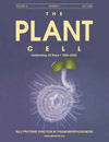 2009 Plant Cell Journal Cover