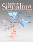 2013 Science Signaling Journal Cover