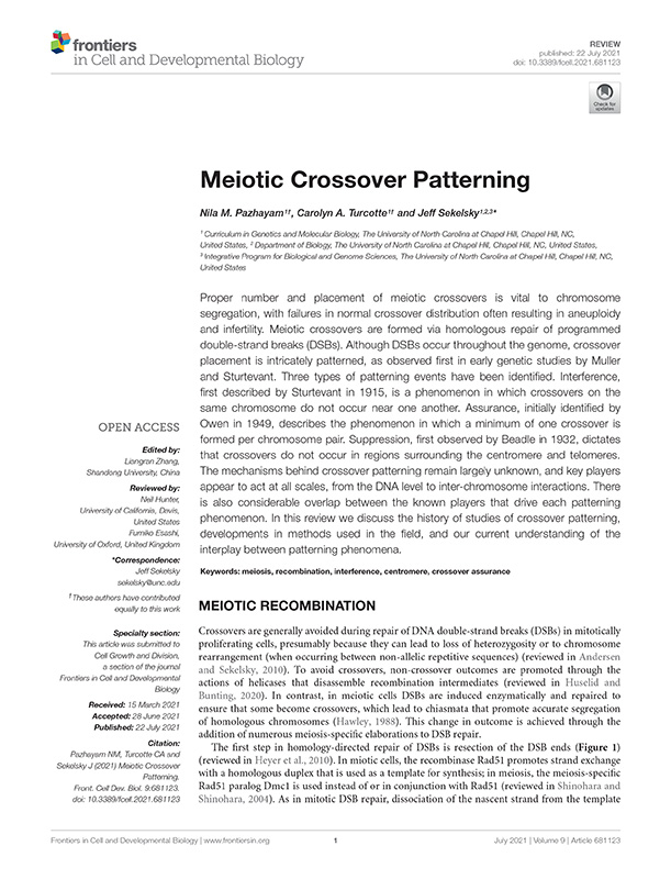 Crossover patterning review