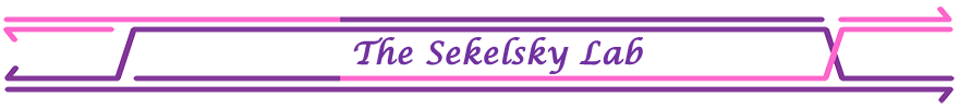 Sekelsky Lab